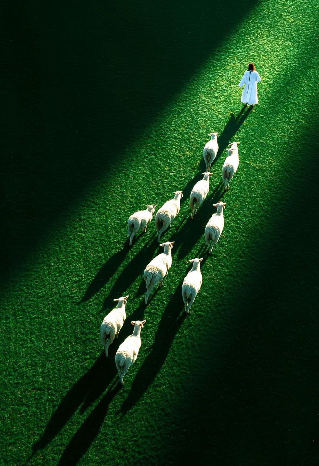 Wisdom in Your Inner Courts