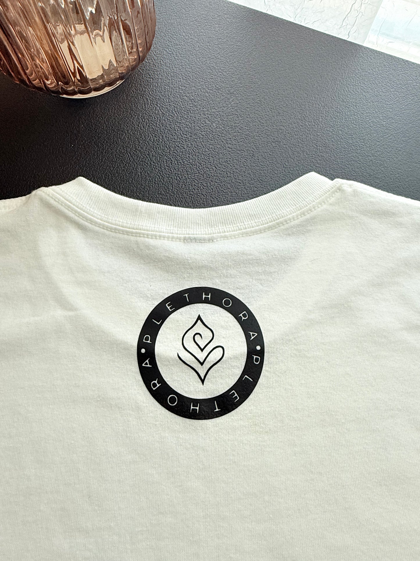 “Seated in Heavenly Places” T-shirt